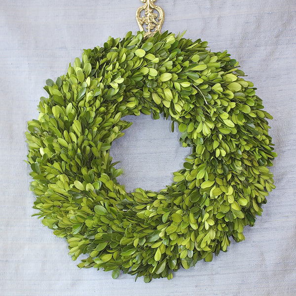 SK Collection Floral Wreath I Plain Boxwood