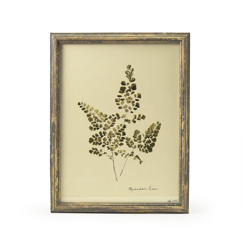 Botanical Gold - Maidenhair Fern Wall Art Print
