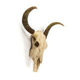 Bull Skull and Horns Artificial Wall Art / Sculpture