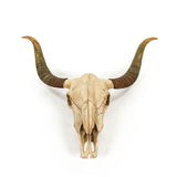 Bull Skull and Horns Artificial Wall Art / Sculpture